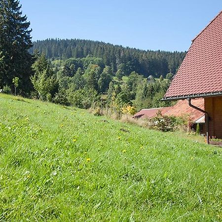 Ferienhaus Esche هينترتزارتن المظهر الخارجي الصورة